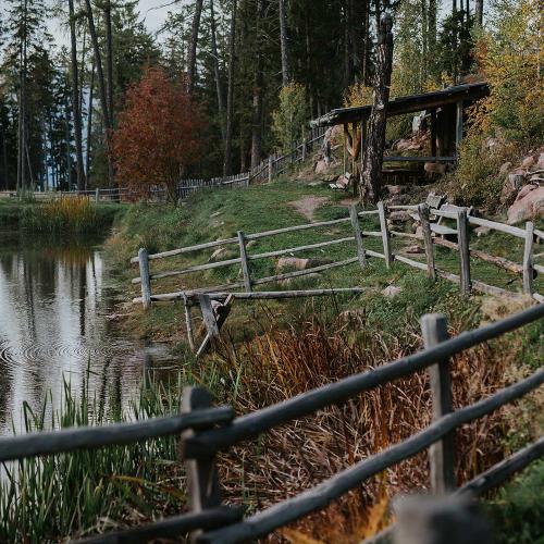 Umgeben von der idyllische Natur