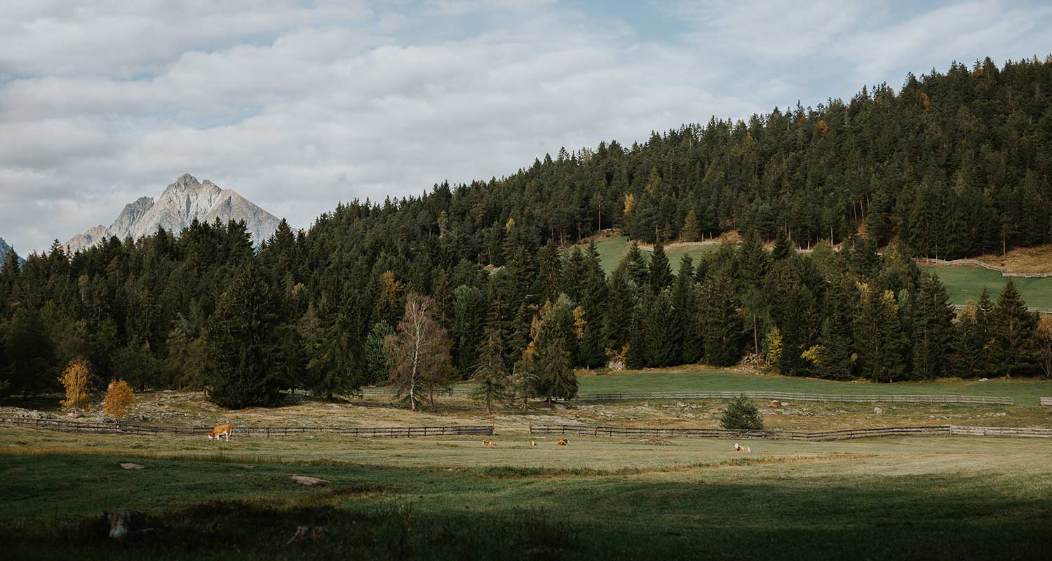 Hafling und Umgebung