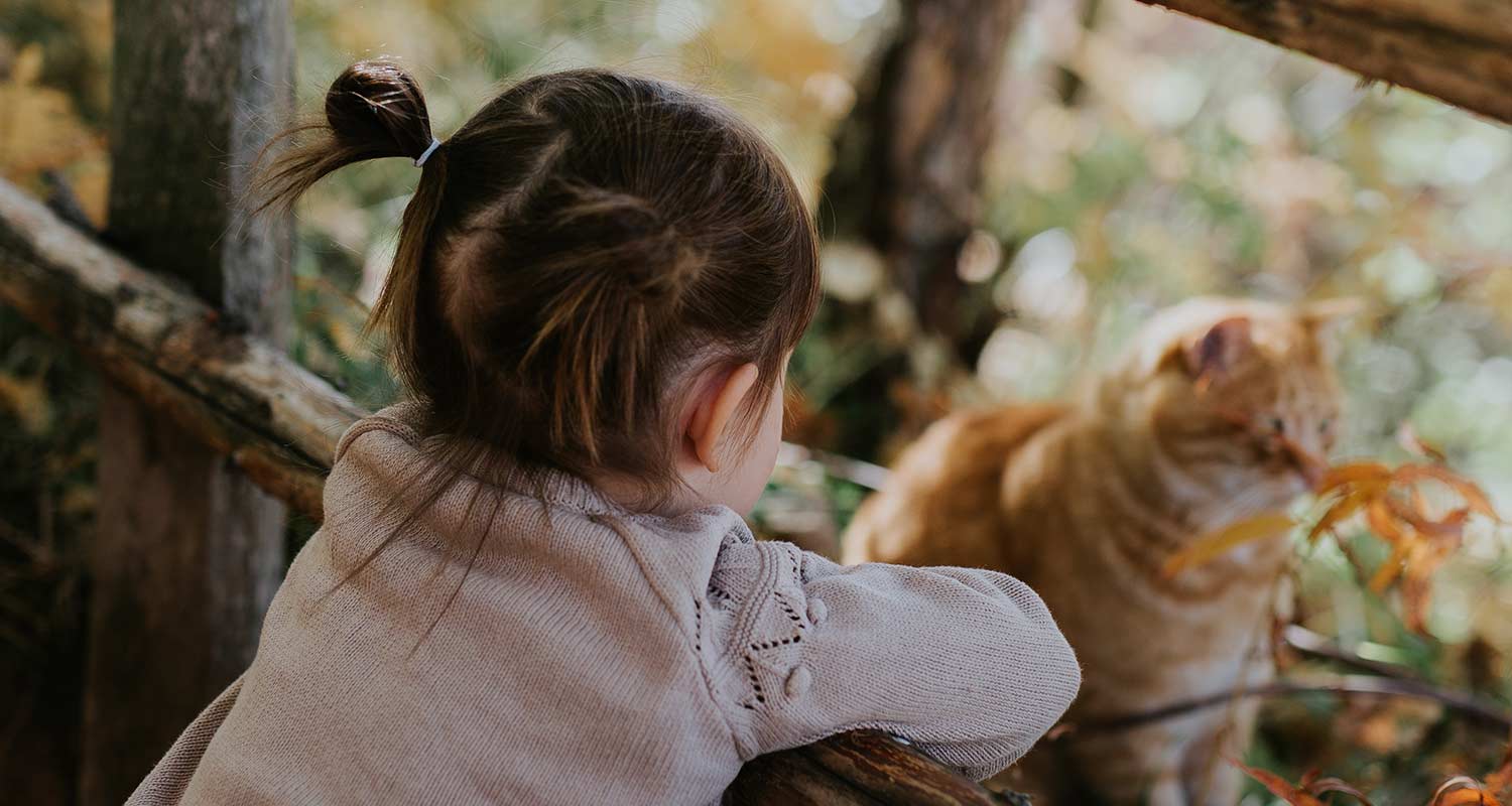 Il gatto Garfield